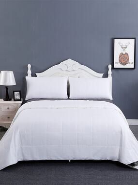 Stunning LilySilk 100% Long Strand Silk Comforter